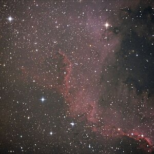 NGC 7000