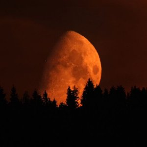 Tiefroter Mond beim Untergang