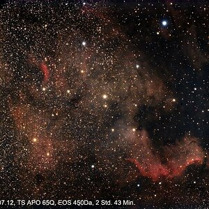 NGC 7000 und einiges mehr im Schwan