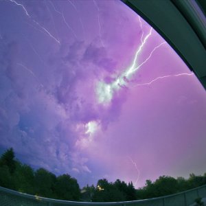 Der Nexus streift Wien