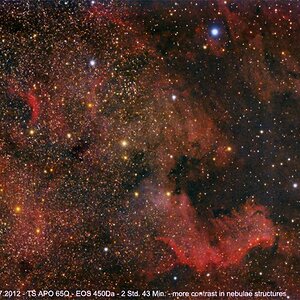 NGC 7000 / NGC 6997