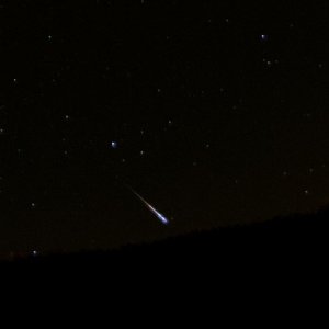 IMG_4203_DxO_hf.jpg