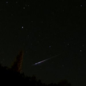IMG_4274_DxO_hf.jpg
