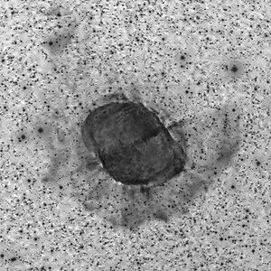 M 27, Ha Schalen Invers