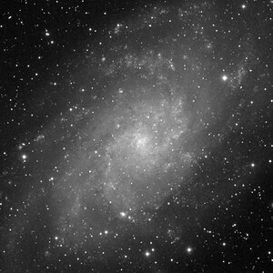 M 33