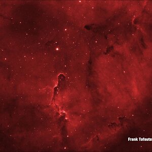 IC1396 Elephants Trunk