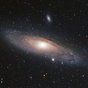 M31