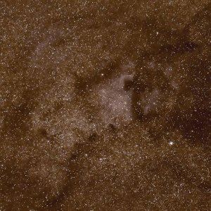 Schwan mit Canon 85 1.8 auf Astrotrac