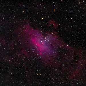 M16 – Adlernebel