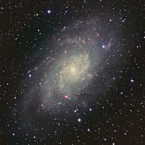 12,5 Std. M 33