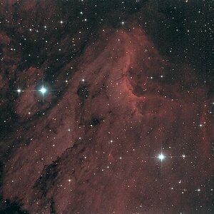 DSLR: IC 5070 - Pelikan