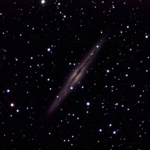NGC 891