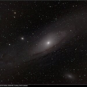 M31 -Andromedagalaxie (mit mehr Lights)