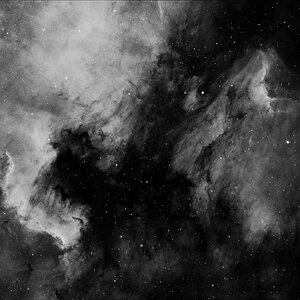 NGC 7000 + IC 5070