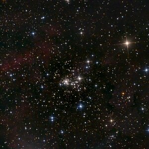 NGC 6910 und viel Nebel