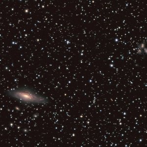NGC7331_SQ_CROP.jpg