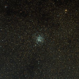 M11 - Wildentenhaufen
