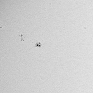 Sonnenfleckengruppe vom 22.9.12