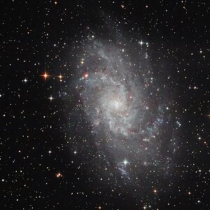 M 33