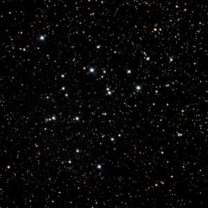 M39.jpg