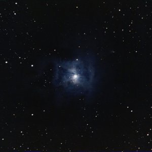 NGC 7023 - Iris Nebel