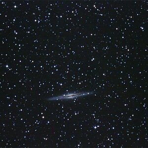 NGC 891