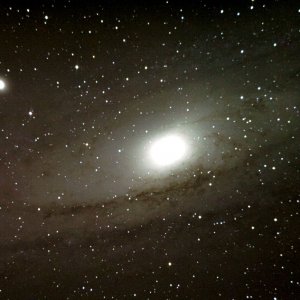 M 31
