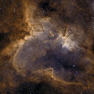 IC1805neu_TAK_Bicolor1_Vorschau.jpg