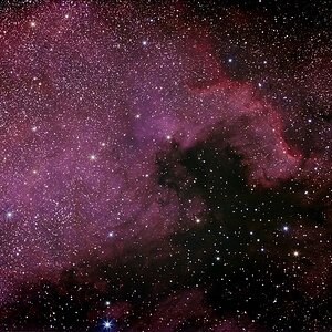 NGC7000