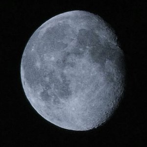 Mond