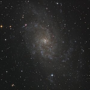 M33