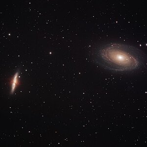 M81+M82