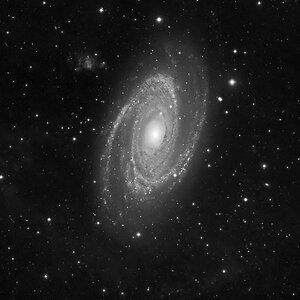 M81