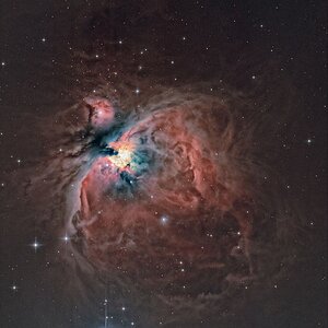 mein erster orion