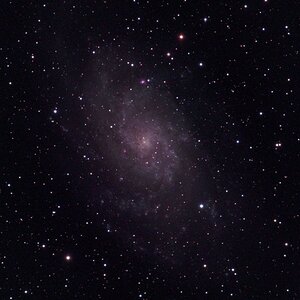 M33