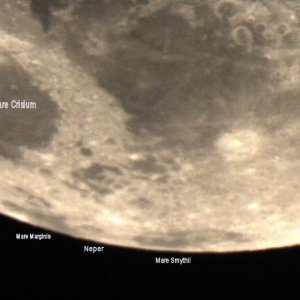 Mond, max. östl. Libration