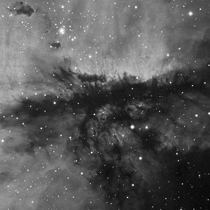 Detail in NGC 281  "Pacman"