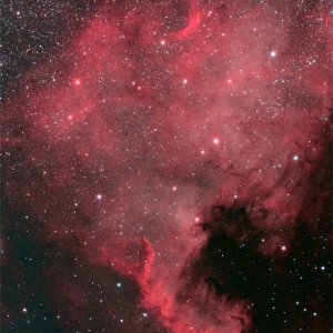 ngc7000