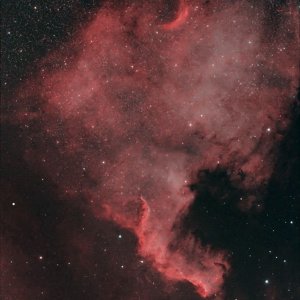 ngc 7000