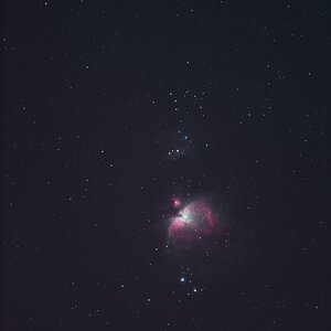 M42, endlich kann man ihn wieder sehen