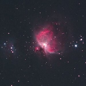 Mein erster vorzeigbarer Orion :)