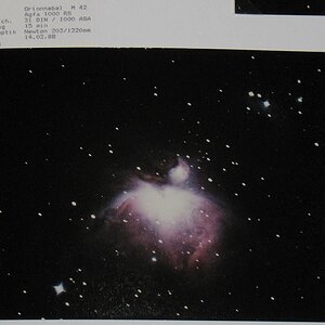 M42
