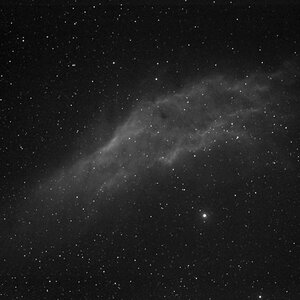 Californianebel mit 4/300 Orestegor