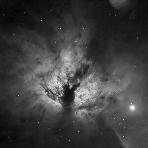 TEC200: NGC 2024 in Ha
