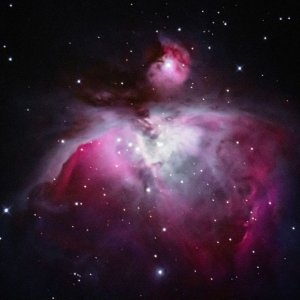 M42 Orion