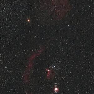 Orion