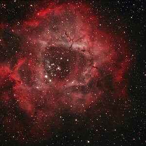 NGC2244 bicolor