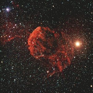 IC443   Die Qualle