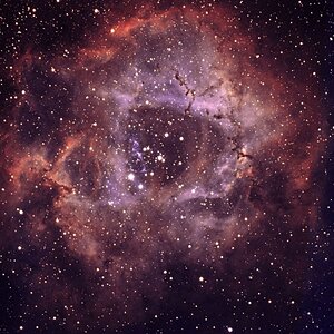 NGC2244 wieder