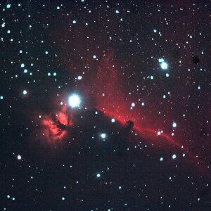 NGC 2024 Flammennebel